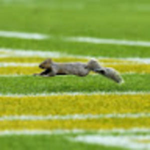 Meet your Posher, Pylon card